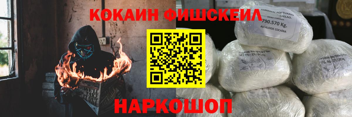 Будённовск  COCAIN Fish Scale  Вход с VPN 
