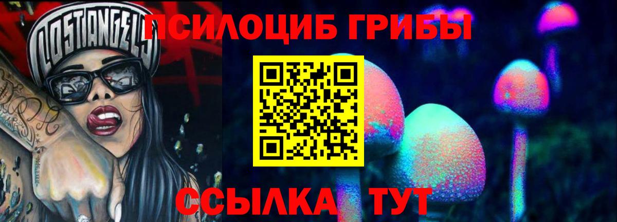 Галлюциногенные грибы MAGIC MUSHROOMS Будённовск